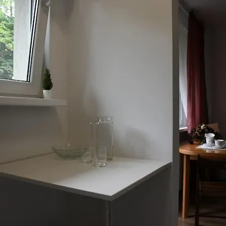 Apartment Mieszkanie Wsrod Bzow *